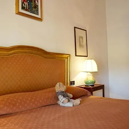 Nell'anfiteatro Lucca